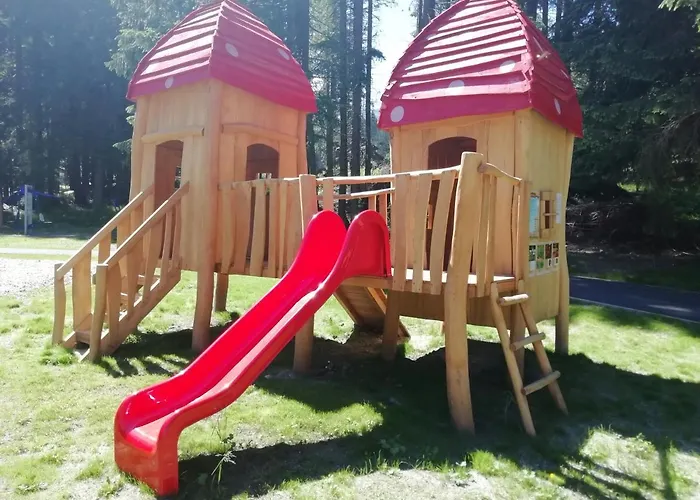 Sorea Snp 3* Dolina Demianowska