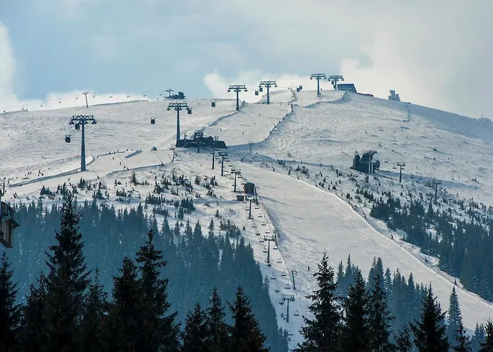 Sorea Snp Dolina Demianowska