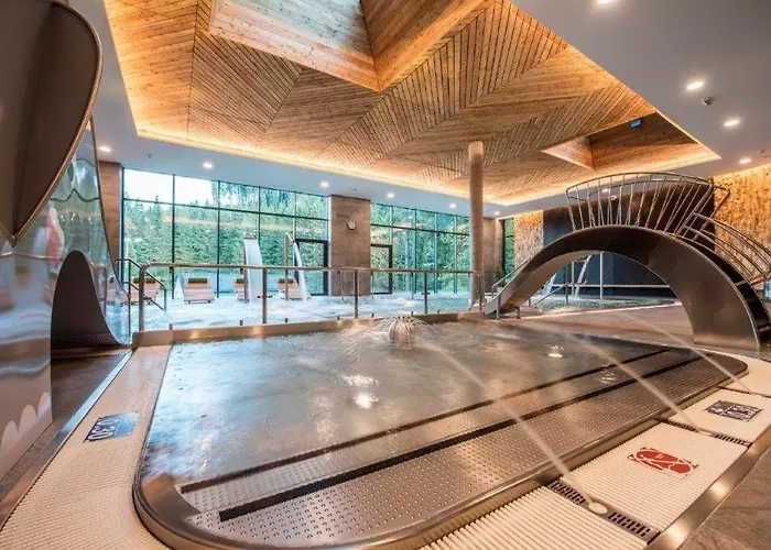 Sorea Snp Dolina Demianowska